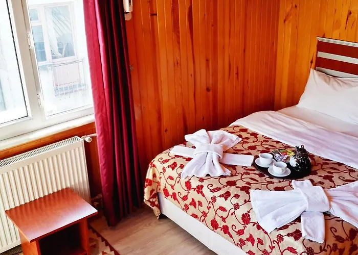 Gur 2* Provincia di Istanbul